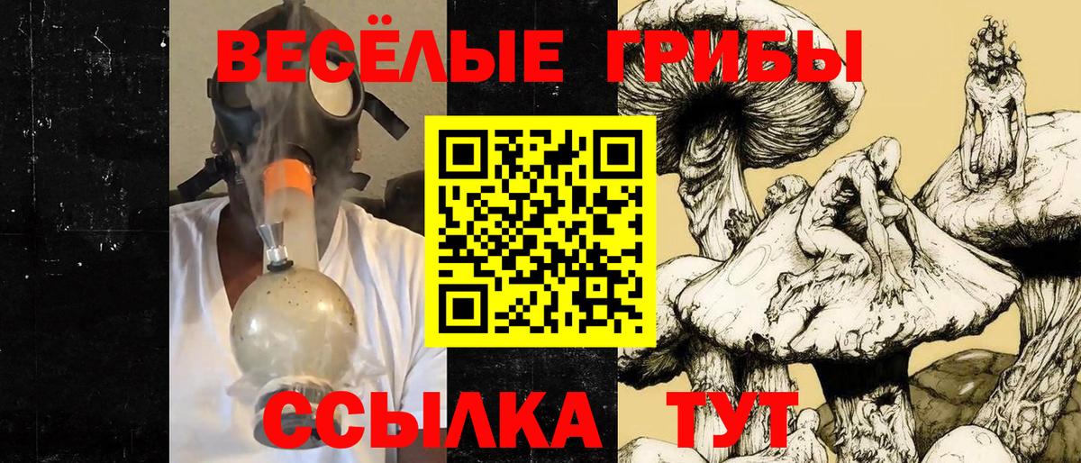 Псилоцибиновые грибы GOLDEN TEACHER Мариинск