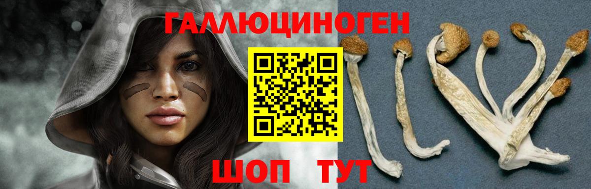 Мариинск  закладки  Вход с VPN  Псилоцибиновые грибы Psilocybine cubensis 